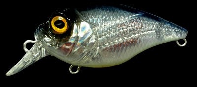 SR-X Griffon color gp problue ii