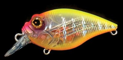 SR-X Griffon color hachiro reaction