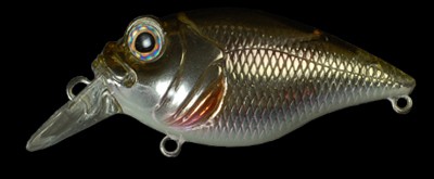 SR-X Griffon color m hiland wakasagi