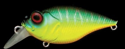 SR-X Griffon color mat tiger