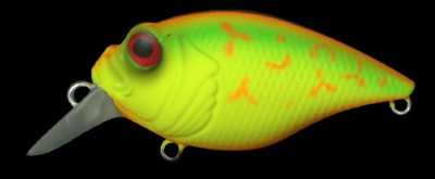 SR-X Griffon color mfb