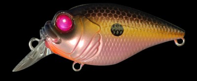 SR-X Griffon color pss