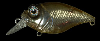 SR-X Griffon color st shinko wakasagi