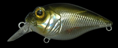 SR-X Griffon color stealth ayu