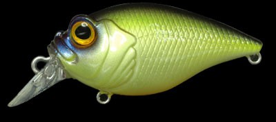 SR-X Griffon color table rock sp