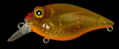 SR-X Griffon color tonegawa reaction