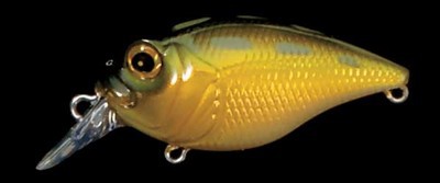 SR-X Griffon color tonosama frog