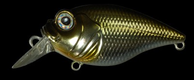 SR-X Griffon color wagin honmoroko