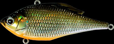 Vibration X color gg stardust shad ob