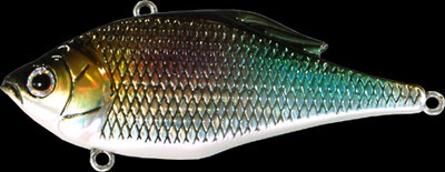 Vibration X color gg tanagon