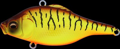 Vibration X Smatra color earth tiger