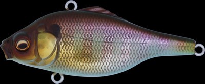 Vibration X Smatra color gg gill