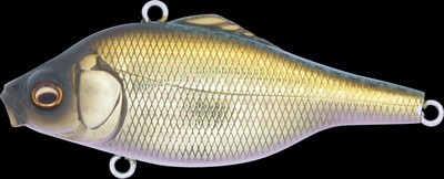 Vibration X Smatra color gg kin buna