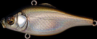 Vibration X Smatra color lz ster_dust_shad