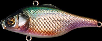 Vibration X Smatra color lz tanago