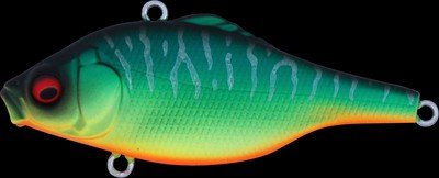 Vibration X Smatra color mat tiger