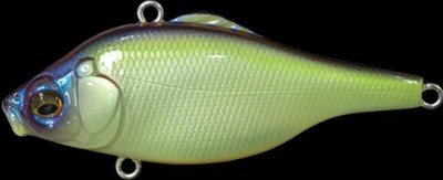 Vibration X Smatra color table rock sp