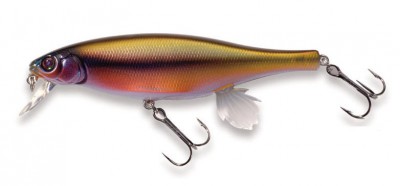 Vision 100 Miyabi color 