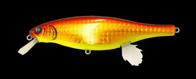 Vision 100 Miyabi color gg akakin