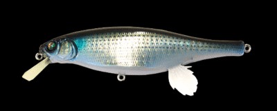 Vision 100 Miyabi color gg inacco