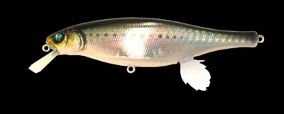 Vision 100 Miyabi color gg iwashi