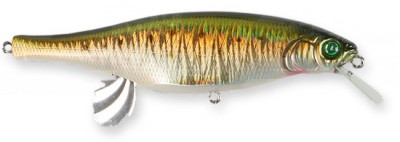 Vision 100 Miyabi color gg rainbow trout