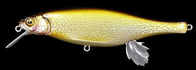 Vision 100 Miyabi color hakusei glitter carp