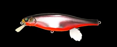 Vision 100 Miyabi color m katakuchi rb?