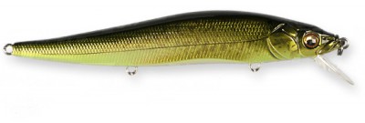 Vision 110 color gg bass