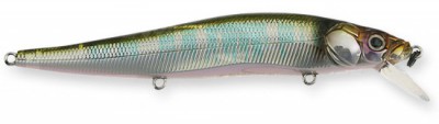 Vision 110 color gg hasu