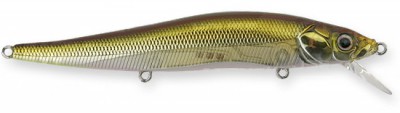 Vision 110 color gg tennessee shad