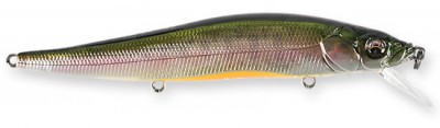 Vision 110 color gg trout ob