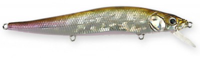 Vision 110 color gg wakasagi
