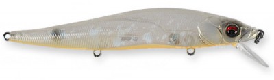 Vision 110 color gp stain reaction