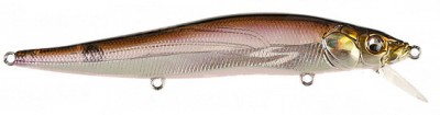Vision 110 color ht hakone wakasagi
