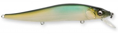 Vision 110 color ito natural