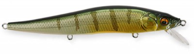 Vision 110 color perch