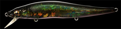 Vision 110 color sf moroko