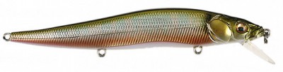 Vision 110 color wagin oikawa