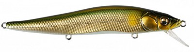 Vision 110 color wakin ayu