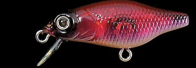 X-30 Marukin color nc all red