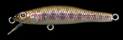 X-55 color gg yamame