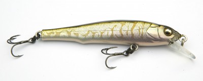 X-70 color gg tongyo (f)