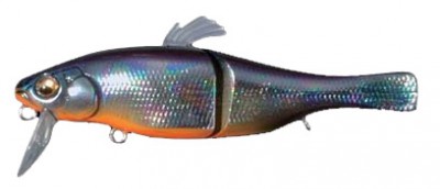 XJ-100 color il tamamushi ob