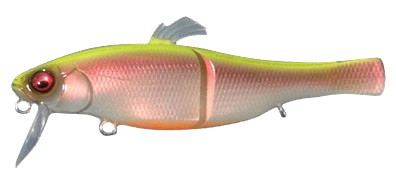 XJ-100 color pm chart back ob