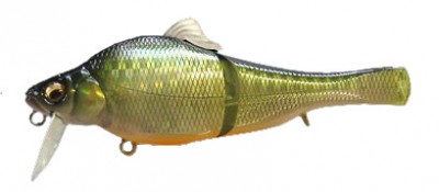 XJF color gg kinbuna