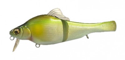 XJF color pm kishu ayu