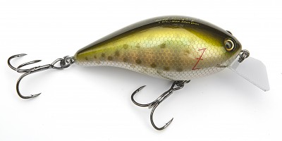 Z-Crank color rainbow trout