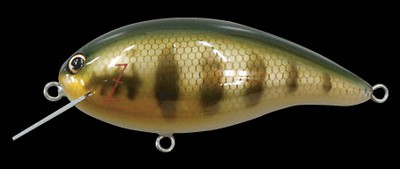 Z-Crank TearDrop color peacock