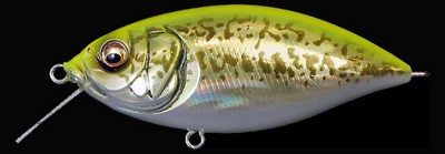 Z-Crank X color gg chart back bass